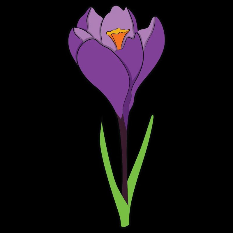 Crocus crocus