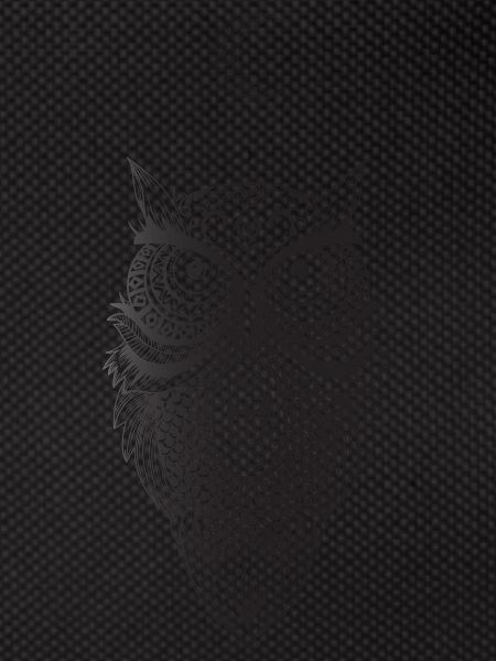 Owl Moon