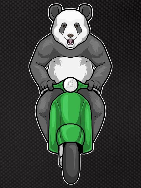 Panda Scooter