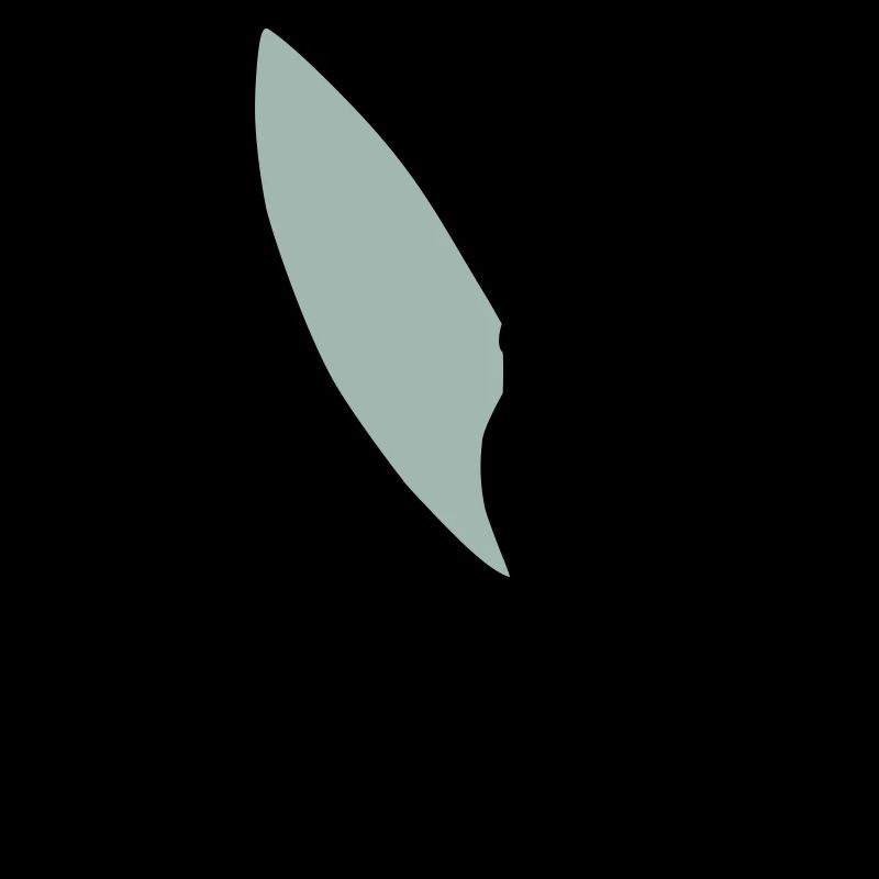 surfgirlshape1