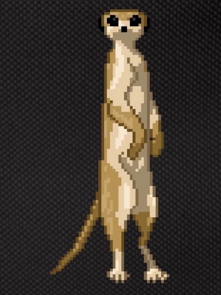 Suricate