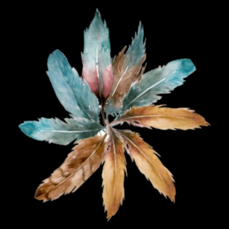 Plume de fleur