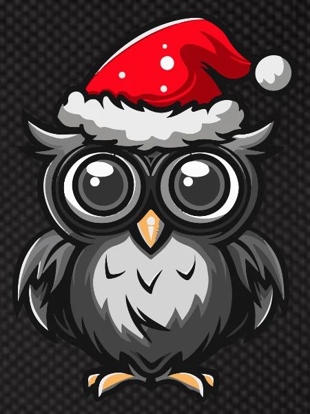 Owl Christmas