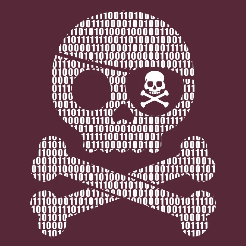 Digital Pirate Binary Code | Digital skull