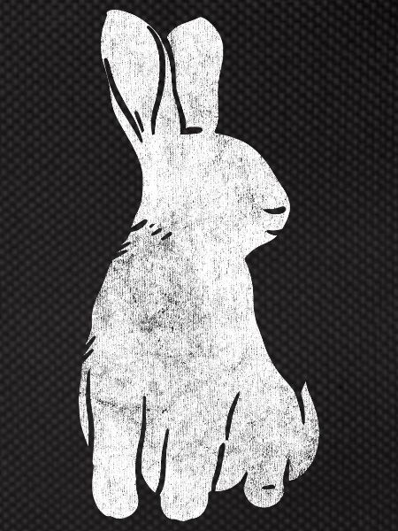 Lapin lapin lapin