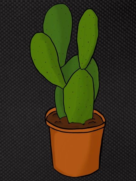 Cactus