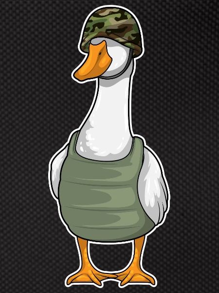 Duck Soldier Helmet