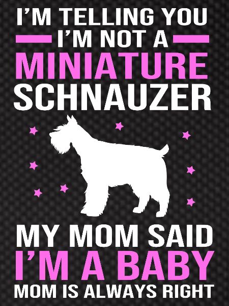 Miniature Schnauzer
