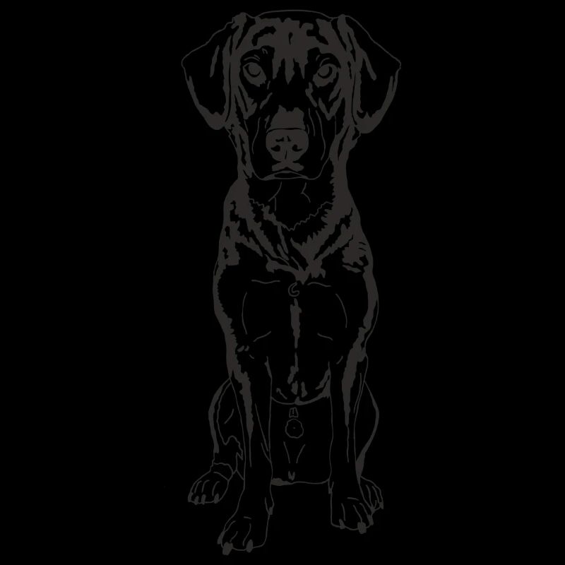 Schäferhund Mix