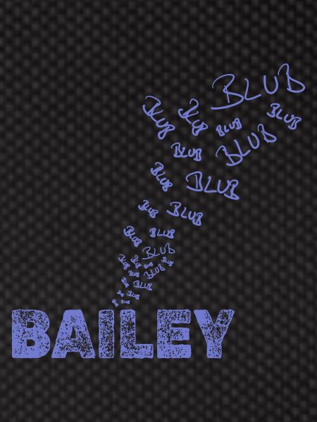 Sailing Bailey