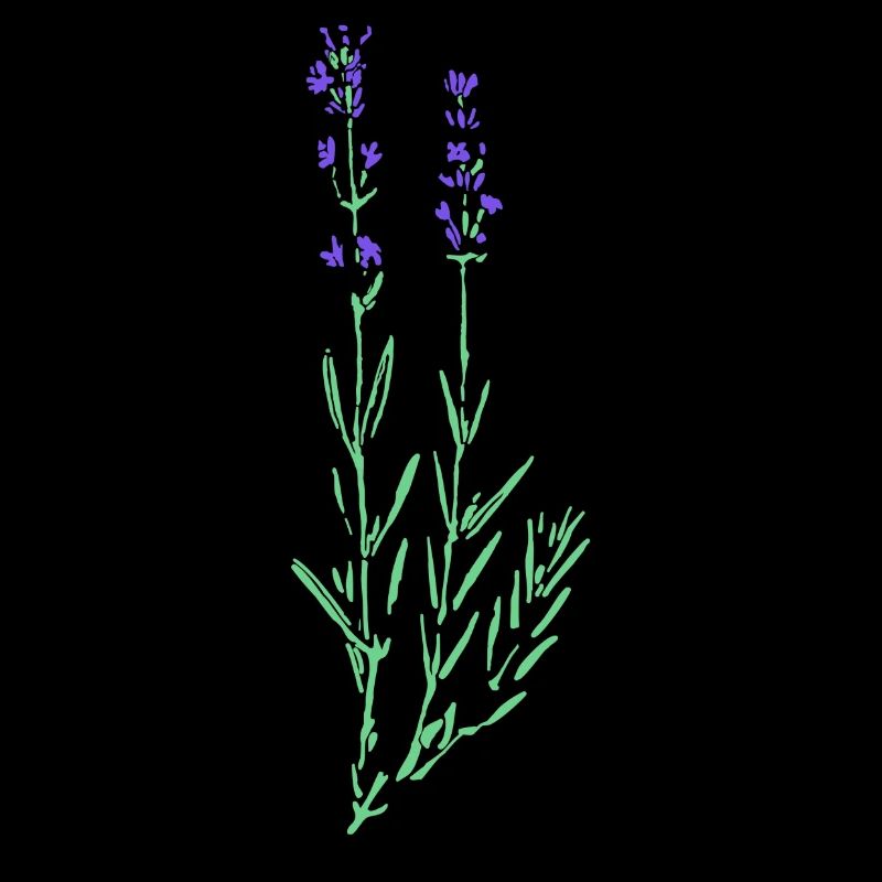 Lavendel