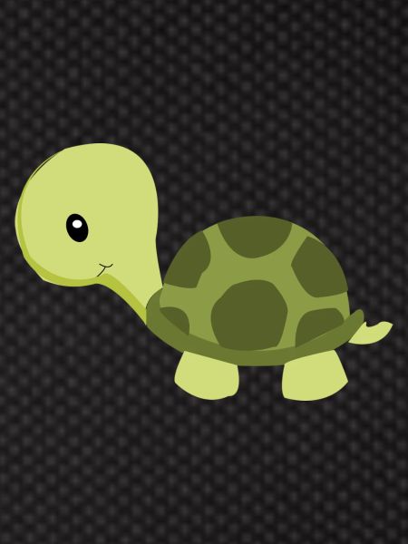 turtle