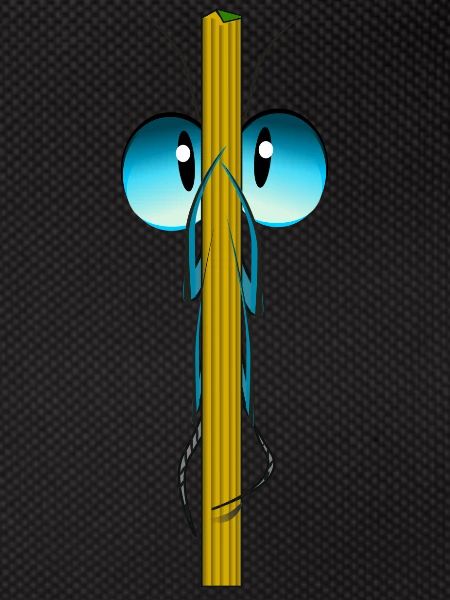 insecte