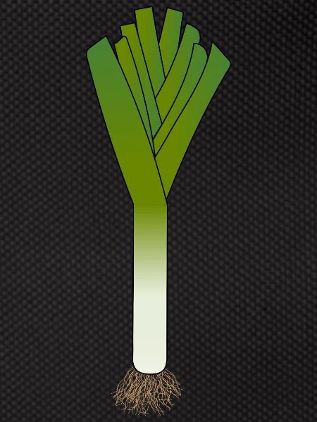 leek