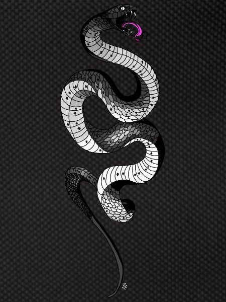 Black Snake