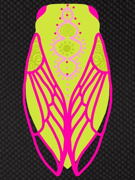 Fluorescent coloured cicada