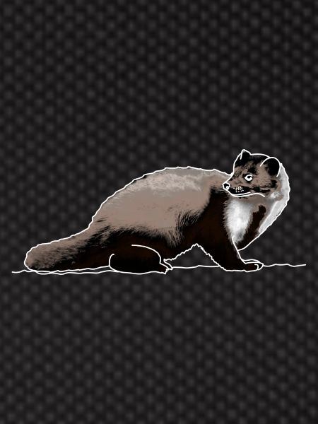 Marten