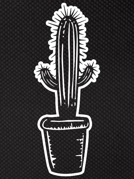 Cactus