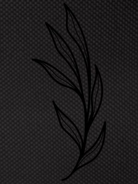 simple wildflower