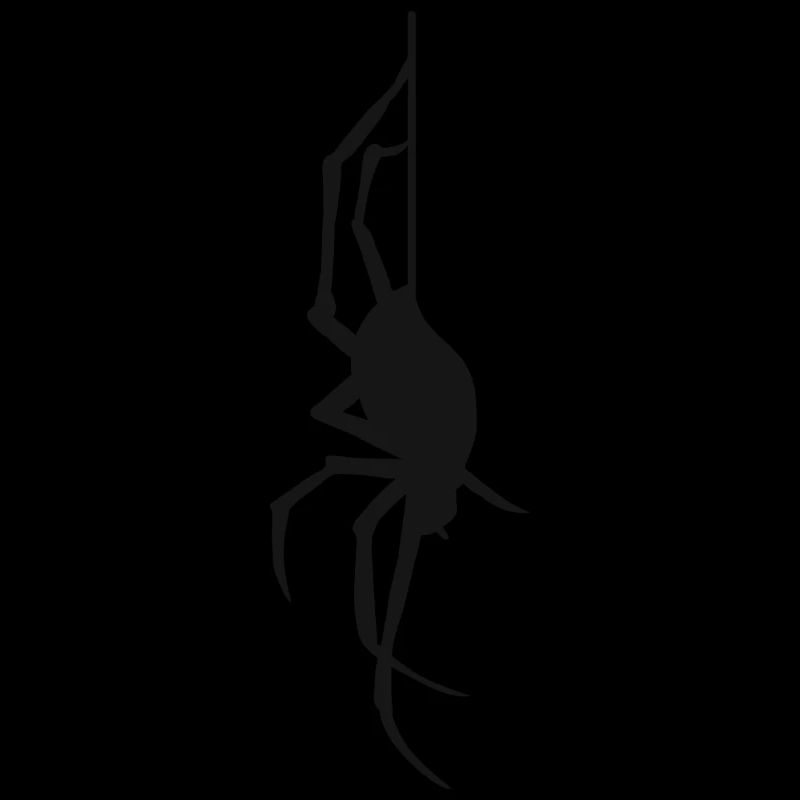 Halloween Gift Spider Spider Web