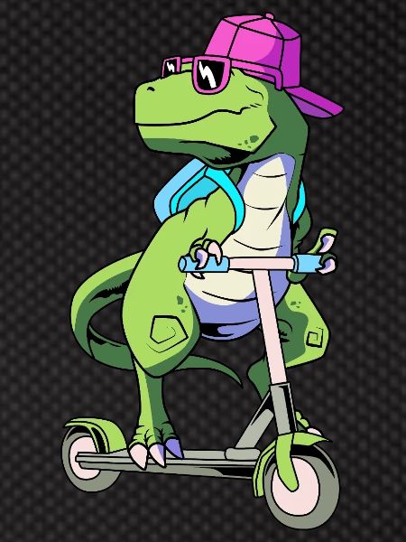 Scooter Roller