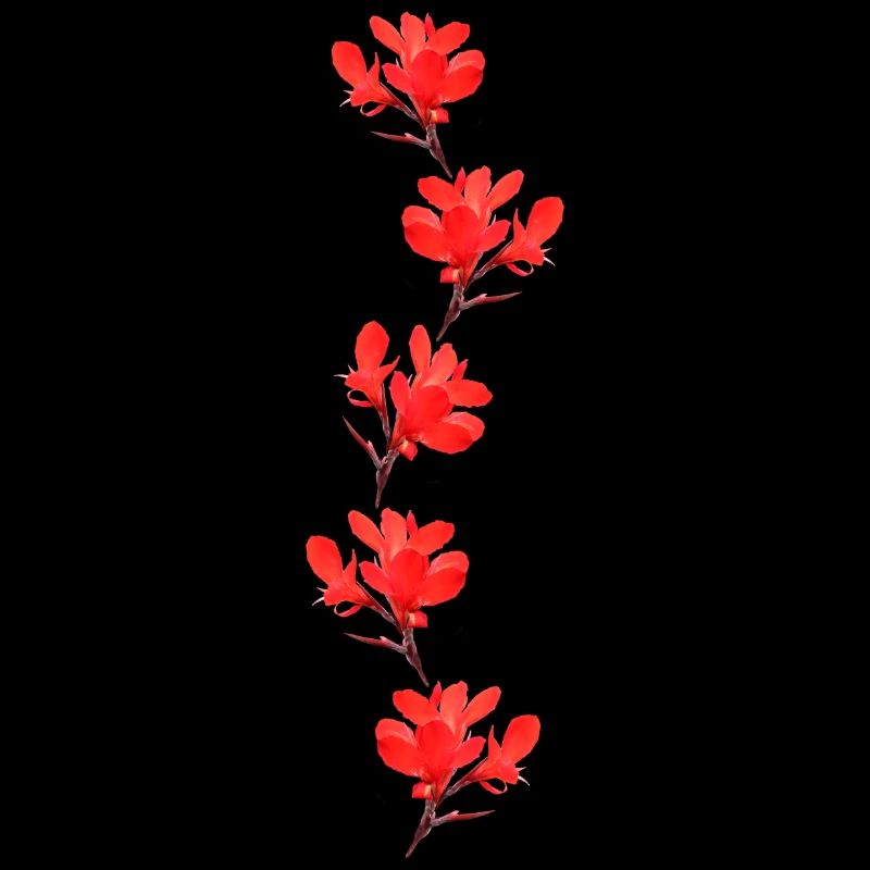 red flowers