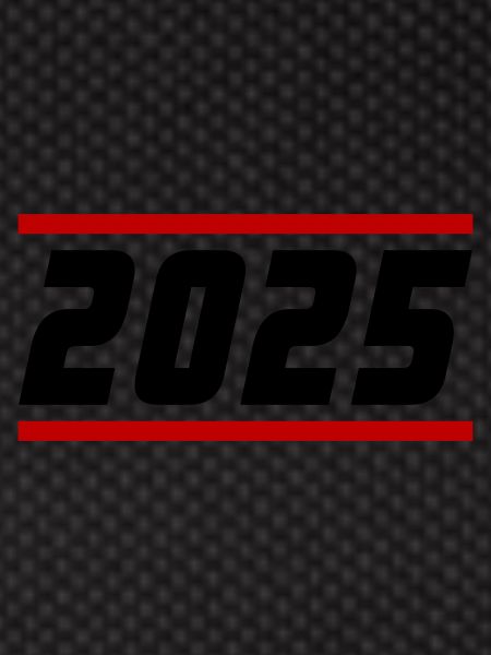 Year 2025