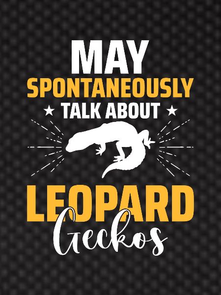 Reptile Lizard Leopard Gecko