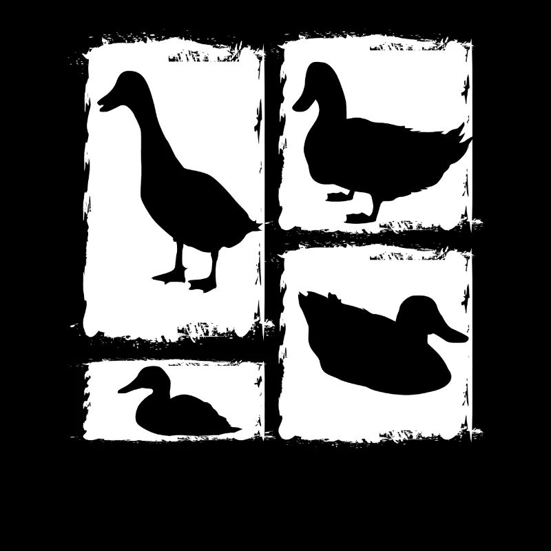 Ducks