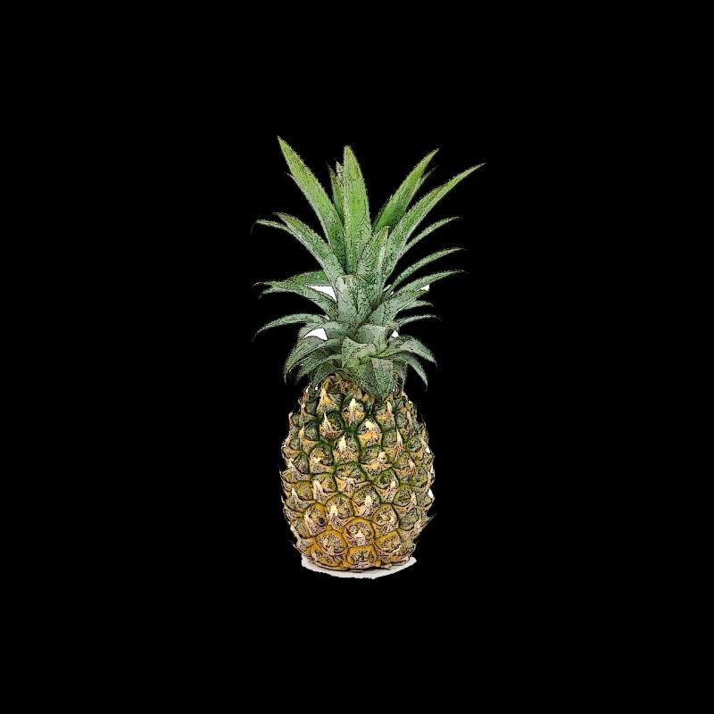 Ananas | Pineapple