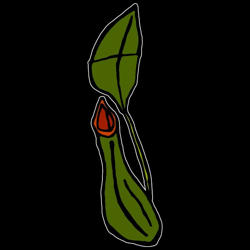 Plante carnivore
