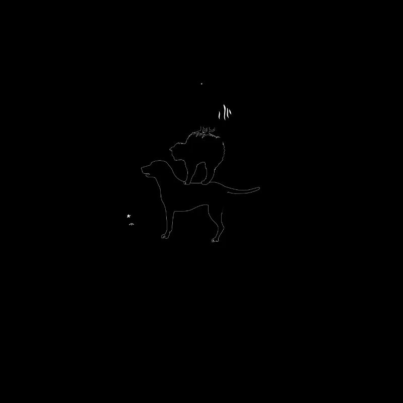 dog131
