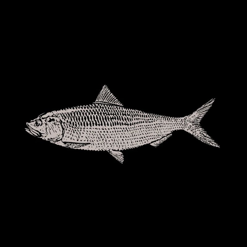Fisch