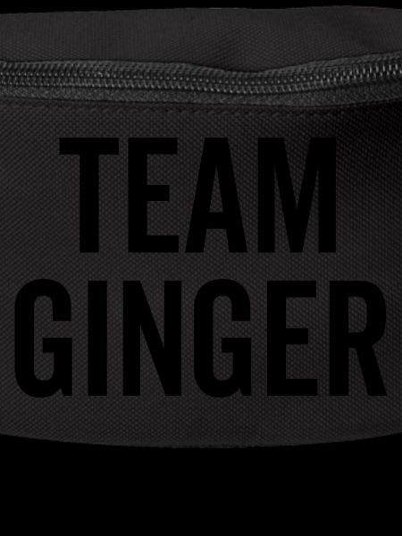 Équipe Ginger