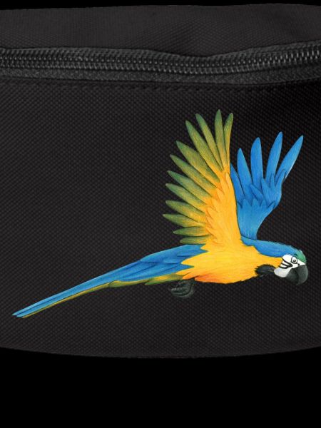 Macaw Parrot