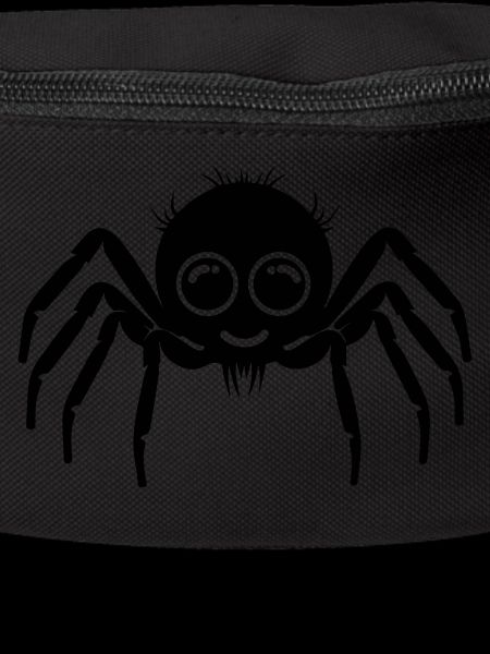 Spinne Spinnen Tiere