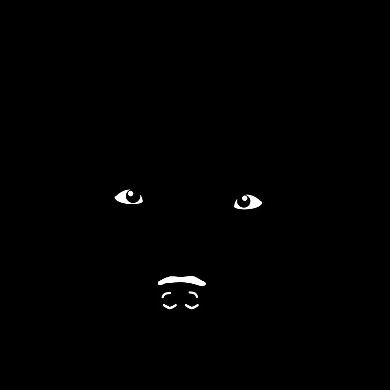 Berger australien minimal chien Aussie