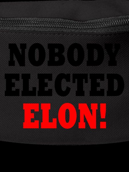 nobody elected elon