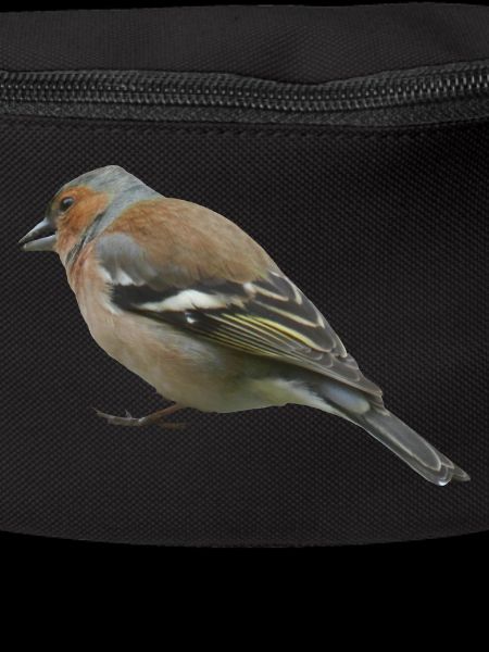 Chaffinch (side)