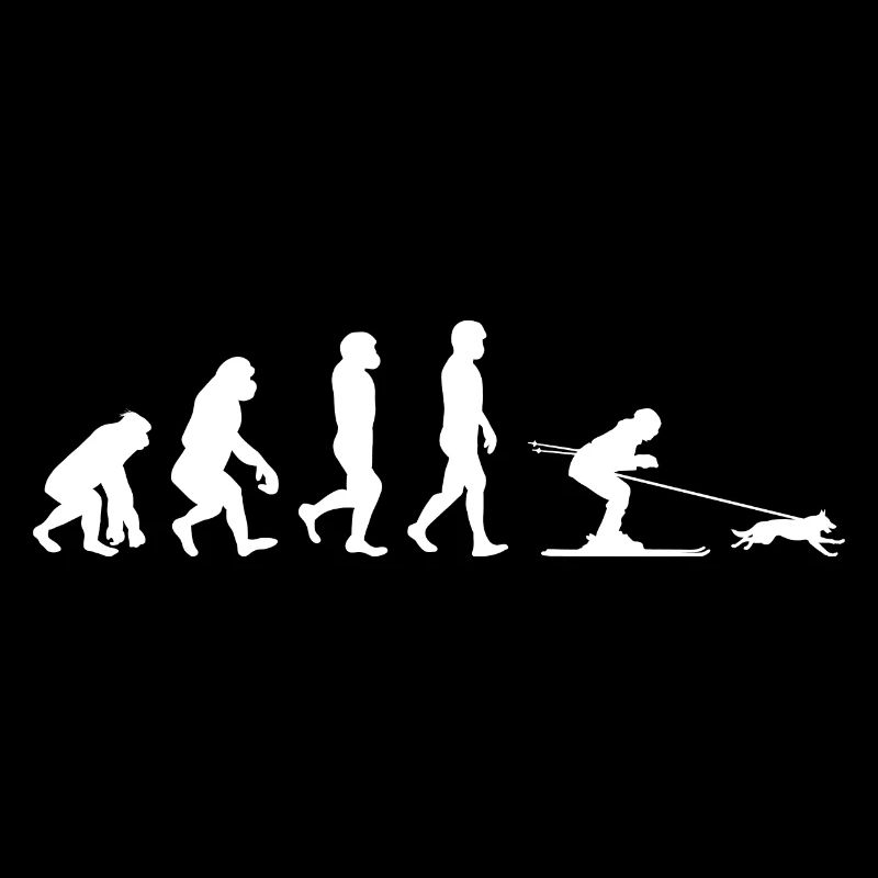 Chien Skijoring Ski Sport d’hiver Evolution