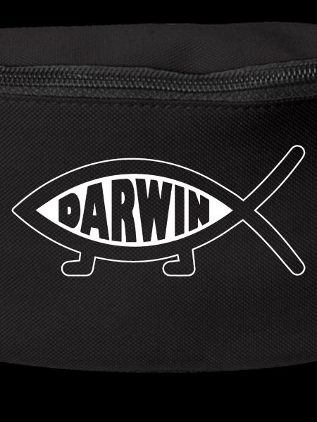Darwin Fish - Funny Evolution