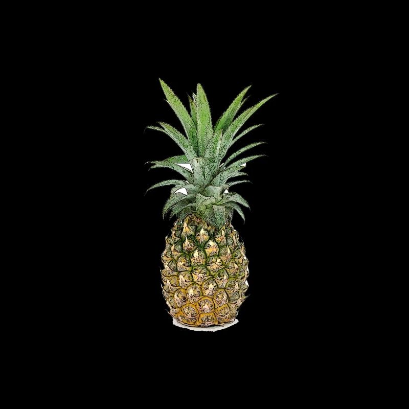 Ananas | Pineapple
