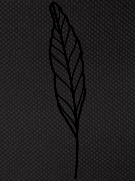 leaf