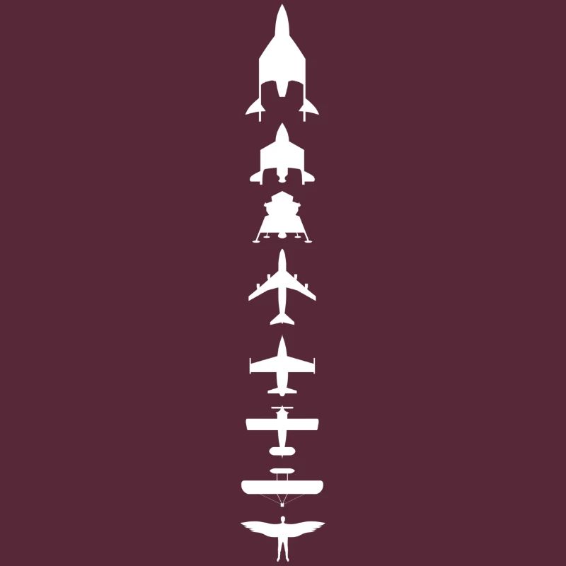 Evolution des Fliegens