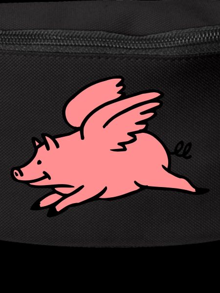 Flying Pig