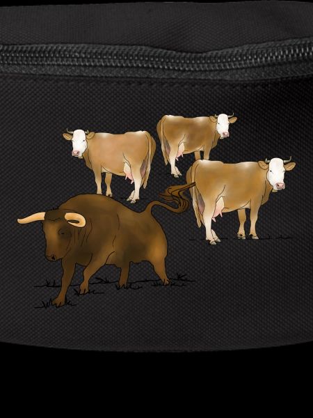 Bull, cows