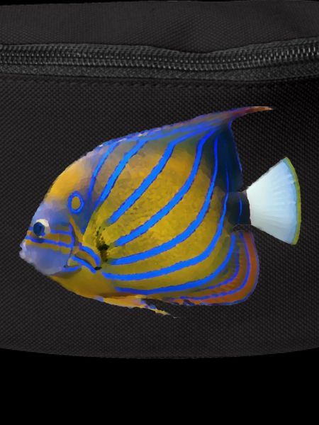 fish tropical
