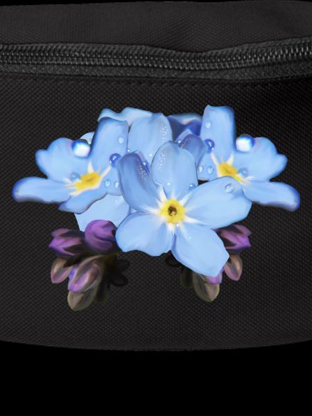 Forget-me-not