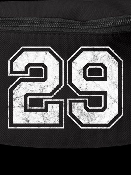 Number 29