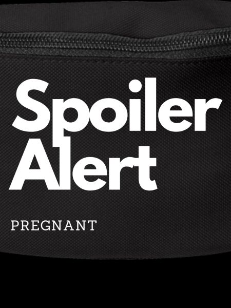 Spoiler Alert Conception enceinte